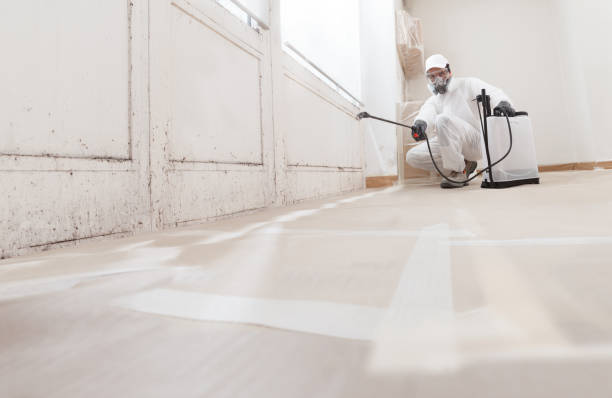 24/7 Emergency Commercial Mold Remediation experts in Nashville, NC