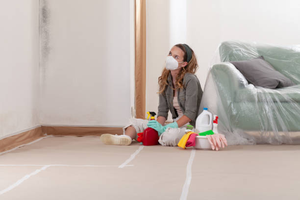 Reliable Commercial Mold Remediation contractor in Nashville, NC by Car Mold Remediation