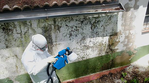 Top rated local Commercial Mold Remediation specialists in Nashville, NC